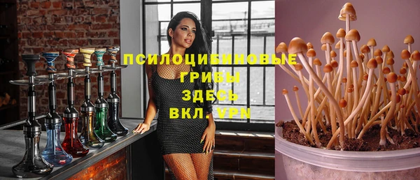прущая мука Верея