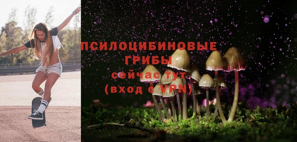 MDMA Верхний Тагил