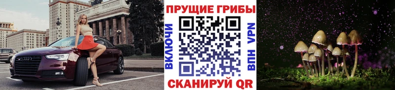 Галлюциногенные грибы ЛСД дарнет шоп кракен сайт Жуковка