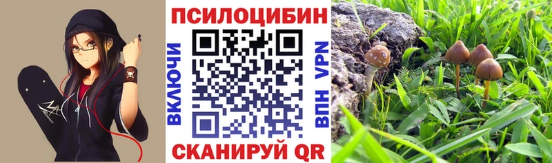 Псилоцибиновые грибы Cubensis Жуковка